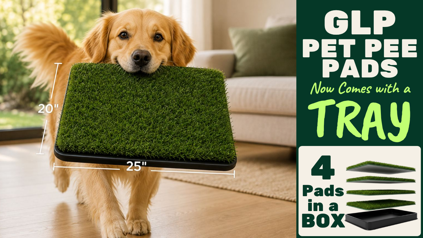 GLP PET PEE PADS HERO.png__PID:8fe98311-8d4b-425c-9bab-5b351361070d