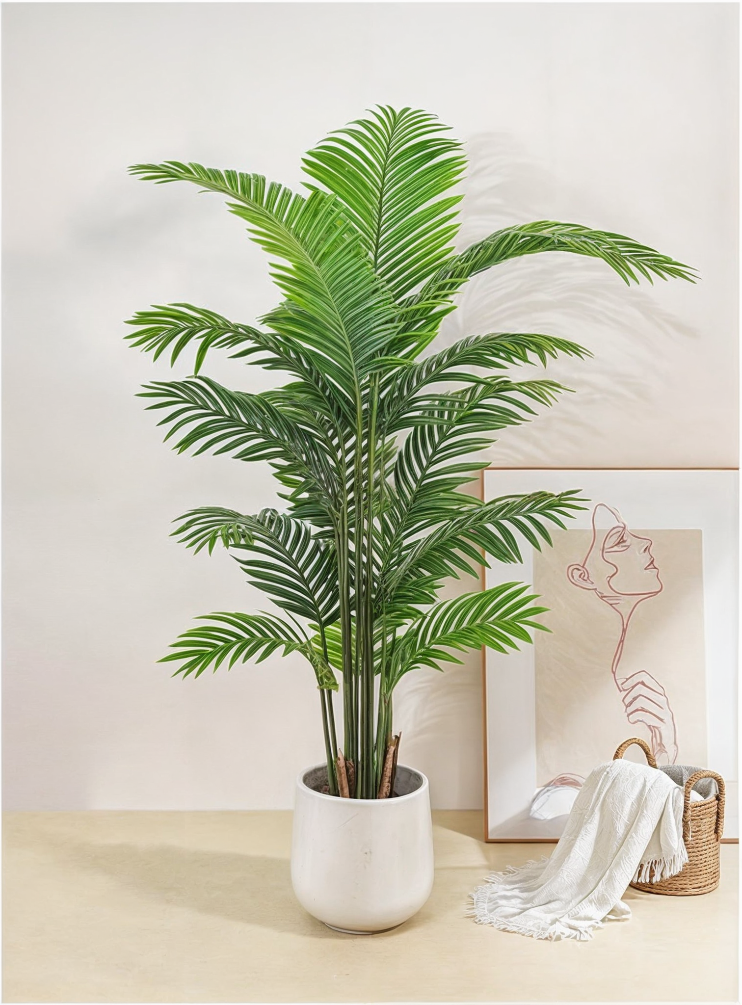Paradise Palm Tree