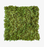 Artificial Moss