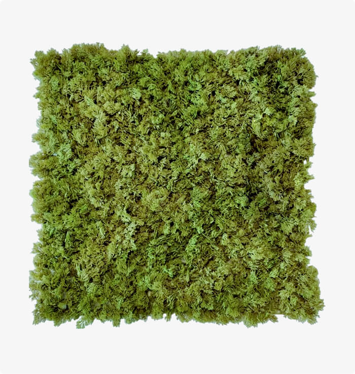 Artificial Moss