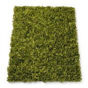 Artificial Moss