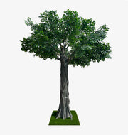 Artificial Ficus Tree