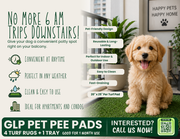 GLP Turf Pee Pad + Tray