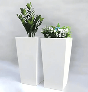 Paradise Planter