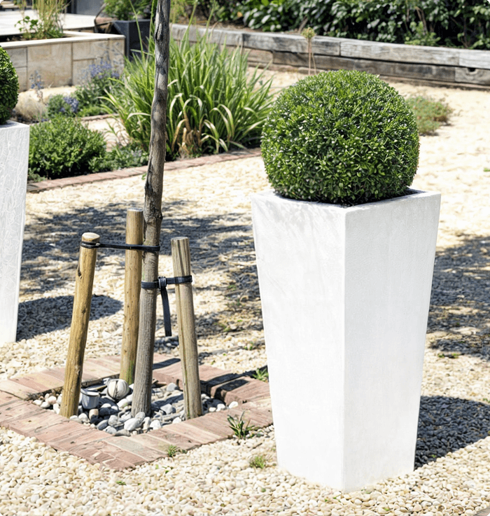 Paradise Planter