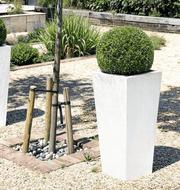 Paradise Planter