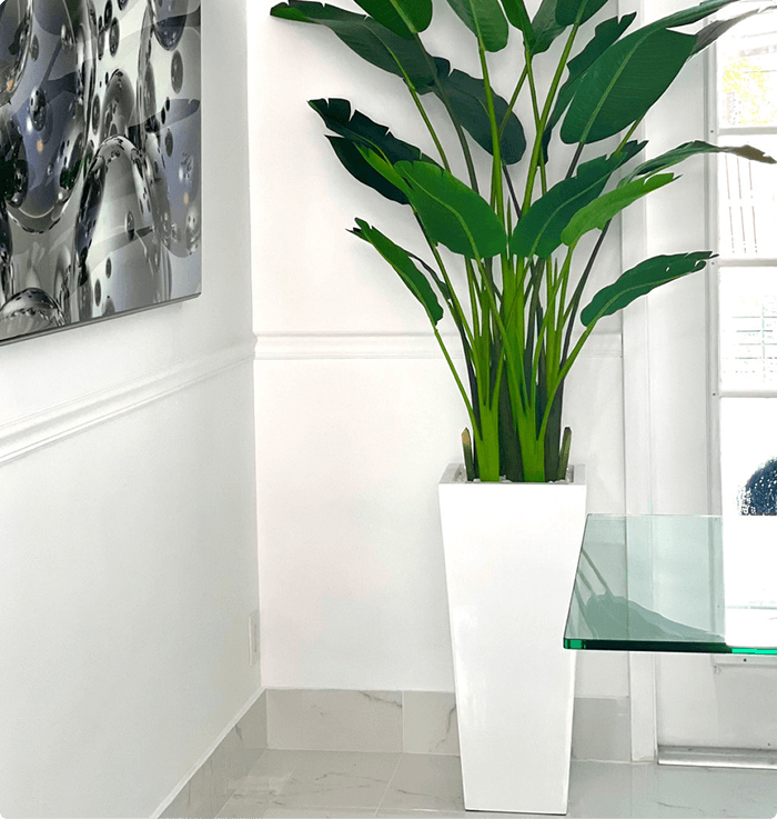 Paradise Planter