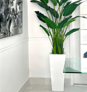 Paradise Planter