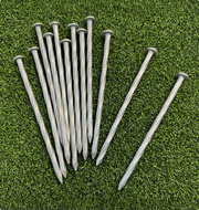 Galvanized Nails