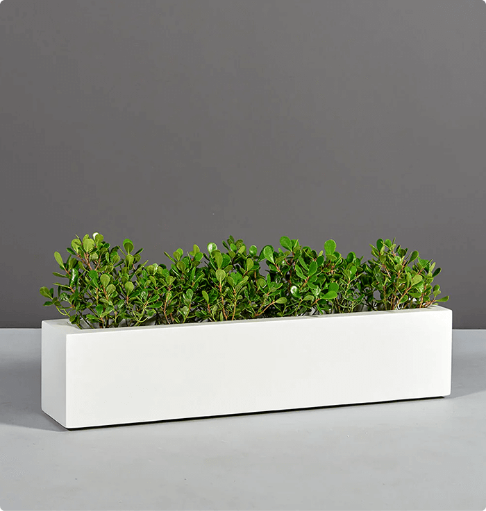 Vibe Small Planter