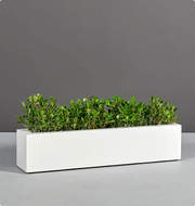 Vibe Small Planter