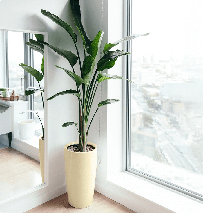 Veranda Sand Planter