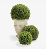 Pine Leaf Topiaries