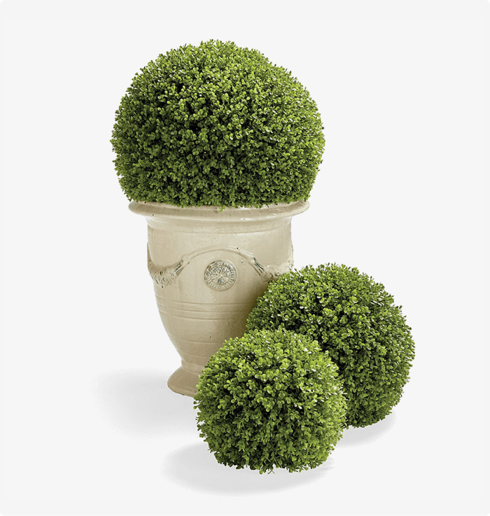 Pine Leaf Topiaries