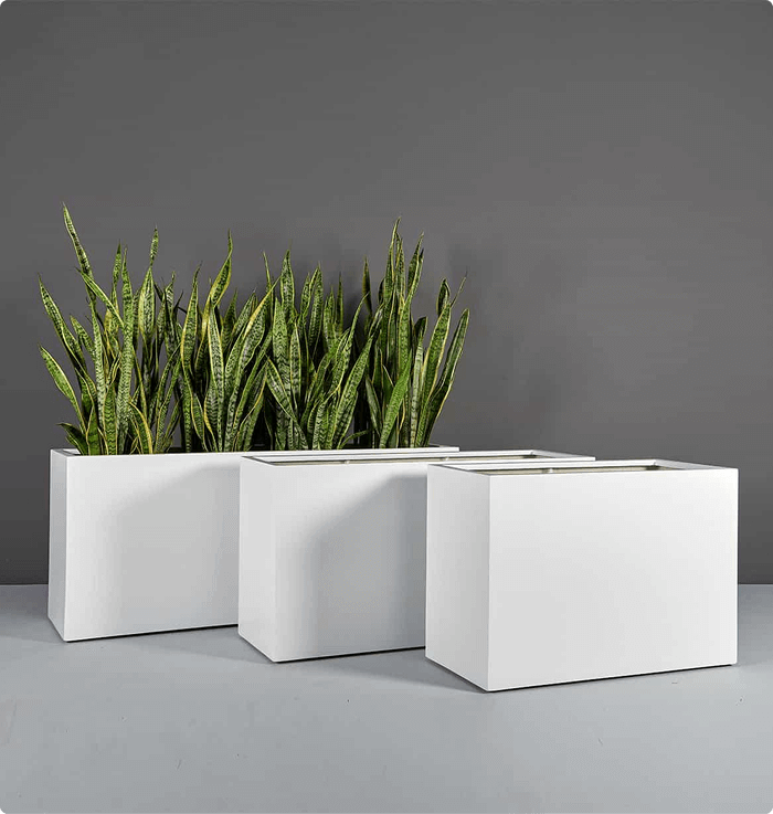 Vibe Planters