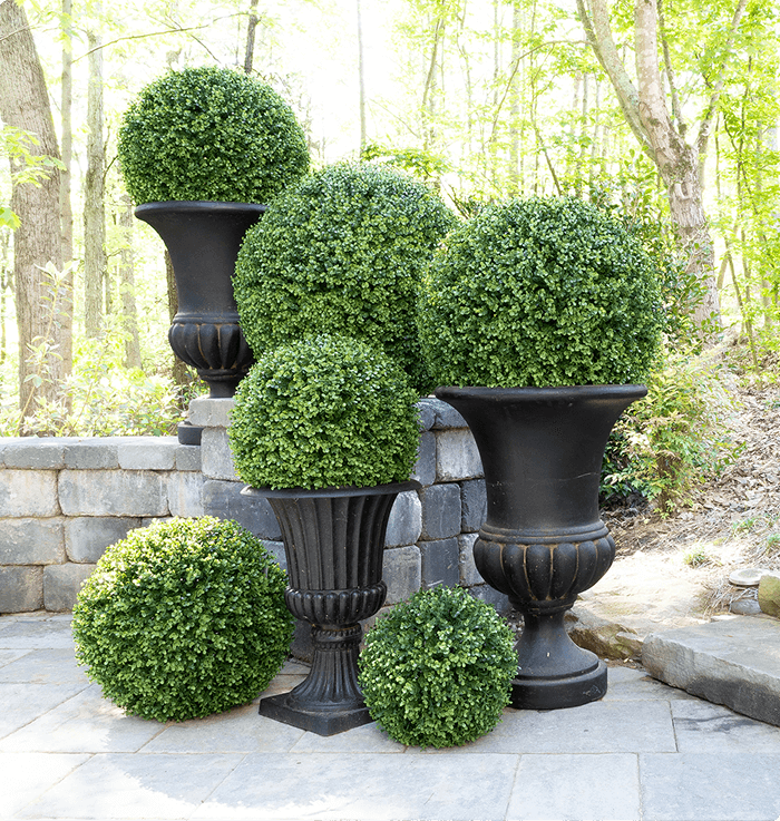 Pine Leaf Topiaries