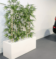 Vibe Planters