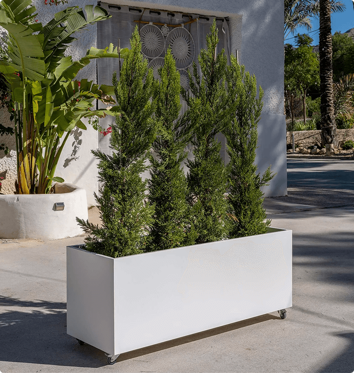 Vibe Planters