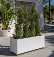 Vibe Planters