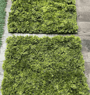 Artificial Moss