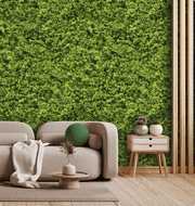 Artificial Moss