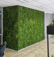 Artificial Moss