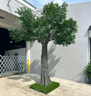 Artificial Ficus Tree