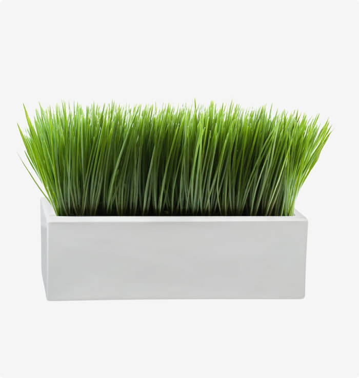 Vibe Low Profile Planter