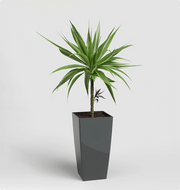 Paradise Small Planters