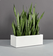 Vibe Low Profile Planter