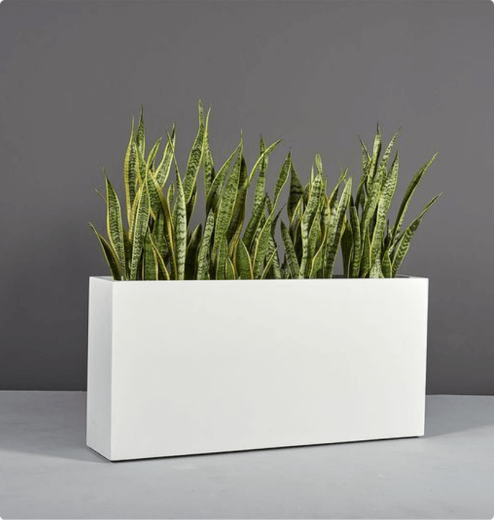 Vibe Medium Planter