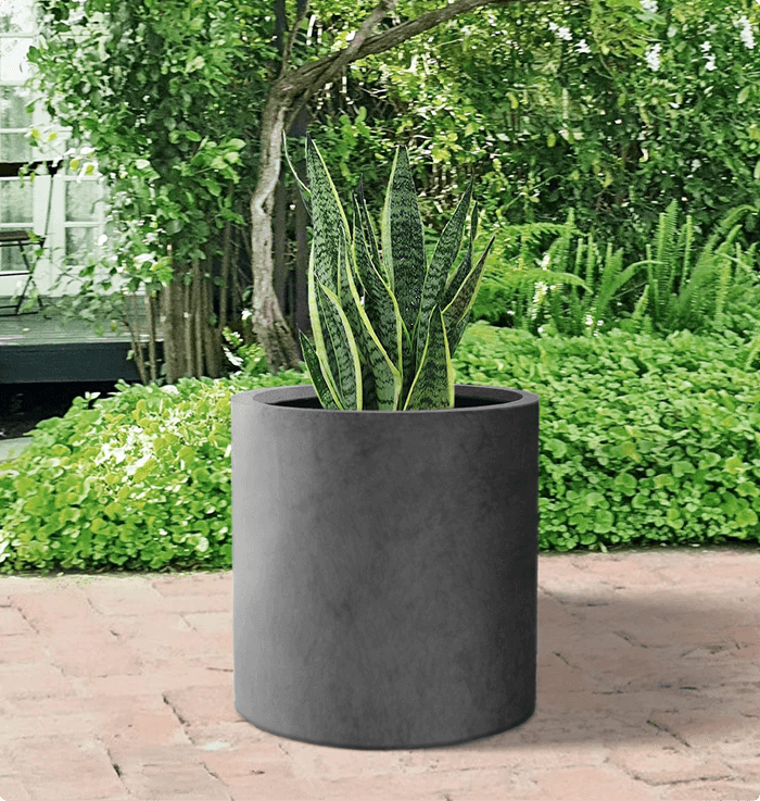 Medium Cylinder Planter
