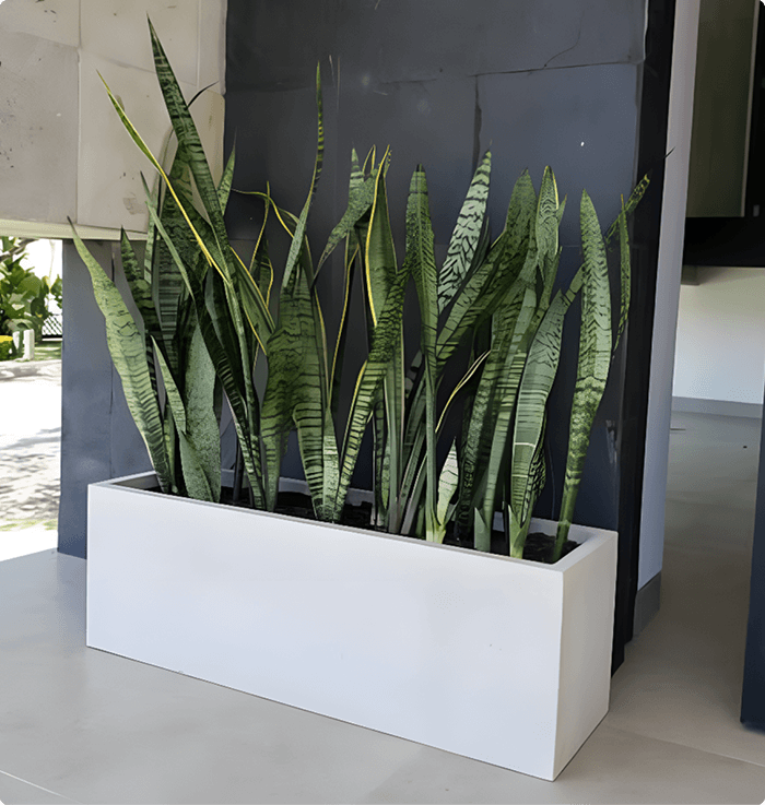 Vibe Low Profile Planter