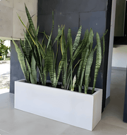 Vibe Low Profile Planter