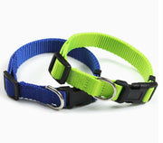 GLP Dog Collar – Adjustable Pet Collar