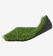 Turf Zoysia - SQFT