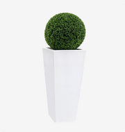 Paradise Planter