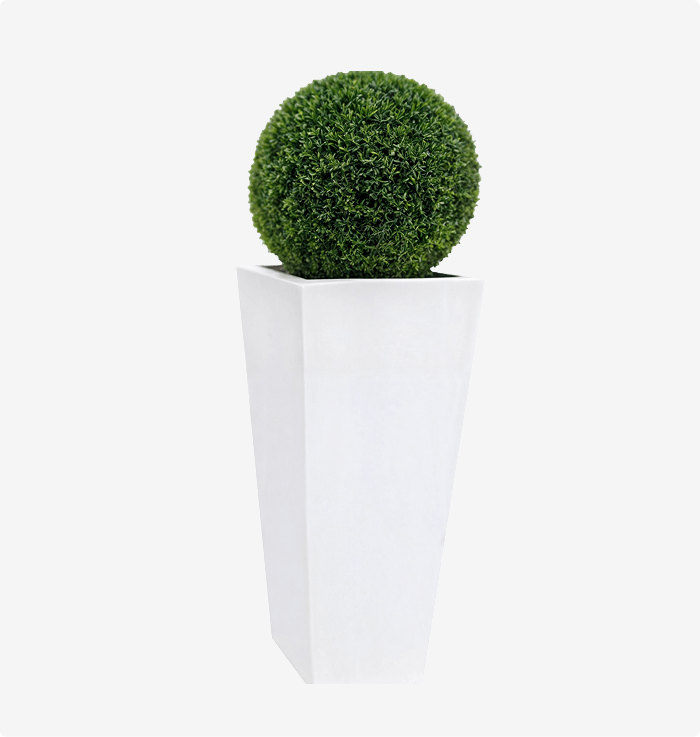 Paradise Planter