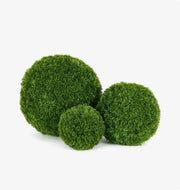 Pine Leaf Topiaries