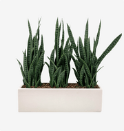 Vibe Low Profile Planter