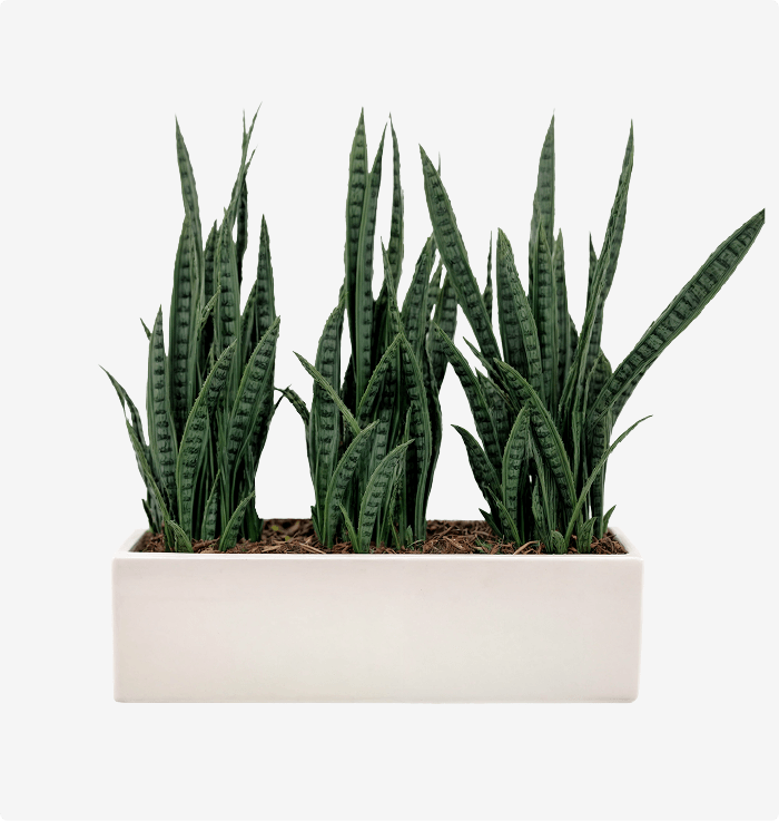 Vibe Low Profile Planter