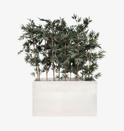 Vibe Planters